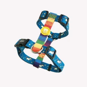 Dukier Classic Harness rainbow ( ALLEEN LARGE )
