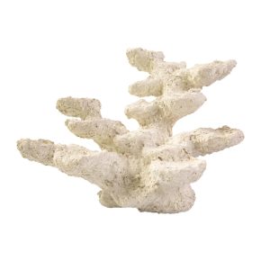 Blue Marine Rock Standing