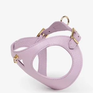 Branni Pets Instaptuig Juno Lila