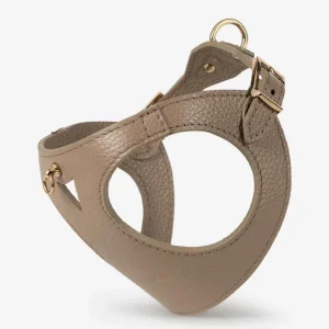 Branni Pets Instaptuig Juno Taupe