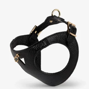 Branni Pets Instaptuig Juno Zwart