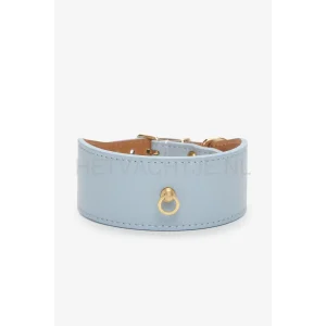 BRANNIPETS - Sky Blue Juno Greyhound Halsband