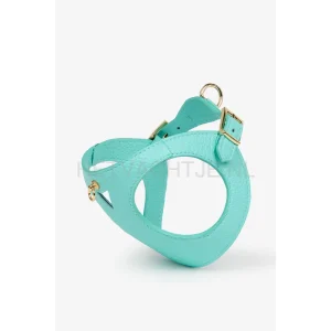 BRANNIPETS - Turquoise Juno Tuig