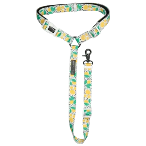 Big and Little Dogs premium autogordel Main Squeeze