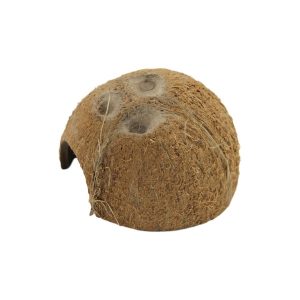 Ceramic Nature kokosnoot