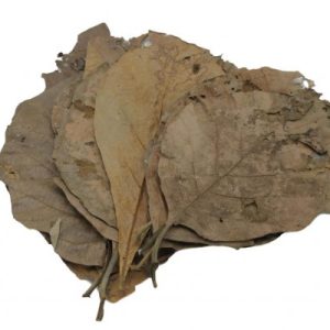 Teak bladeren Aquarium