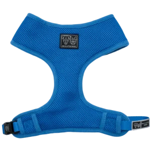 Big and Little Dogs Classic Harness Cobalt Blue