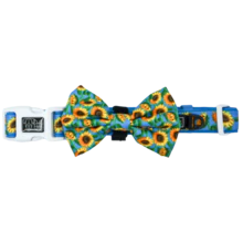 Big and Little Dogs Halsband Hello Sunshine