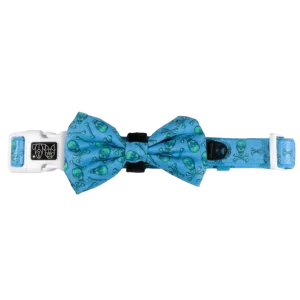 Big and Little Dogs Collar & Bow-tie Skulls & Bones (Blue Version)