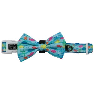 Big and Little Dogs Collar & Bow-tie You're A Catch