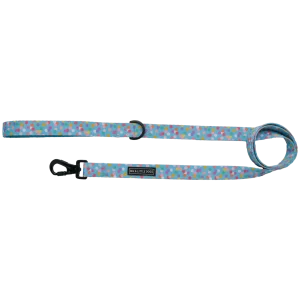 Big and Little Dogs Lijn Blue Confetti