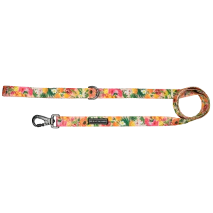 Big and Little Dogs Lijn Fruit Salad