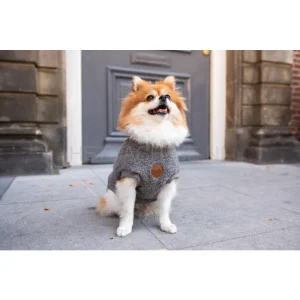 FLOOFS AND COOKIES - Walking Teddy Bear Darky Grey