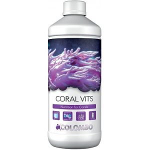Colombo Coral Vits