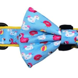 Big and Little Dogs Halsband it's a Pool Party