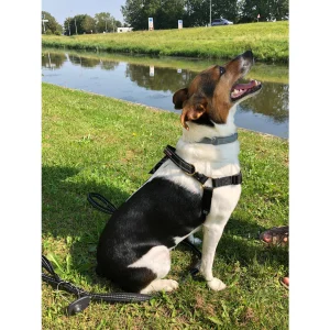 MaZter - Anti-trektuig