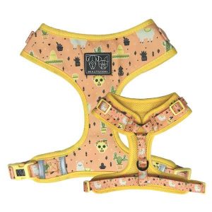 Big and Little Dogs Adjustable Dog Harness Mexicali (  X Large )