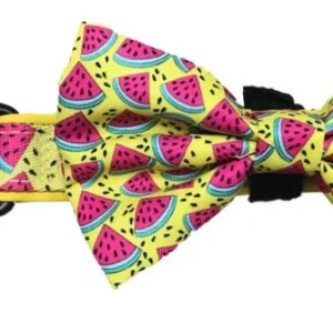 Big and Little Dogs Halsband  One in a Melon