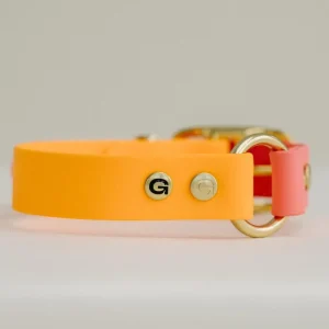 Stoere Hondenhalsband - Oranje & Roze