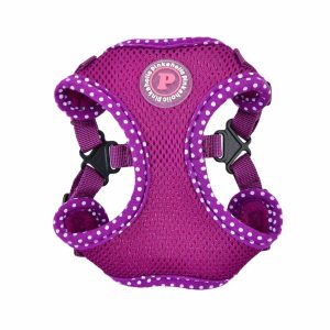 Pinkaholic Niki Harness model C Purple