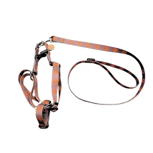 Bobby Bones harness + riem Brown tweedekans