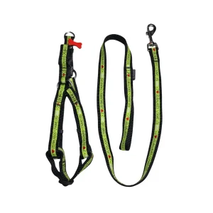 Bobby Yaimeles harness + riem Green tweedekans
