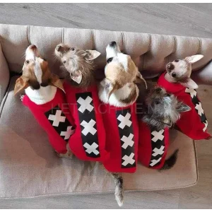 WAGGLE AMSTERDAM - shirt